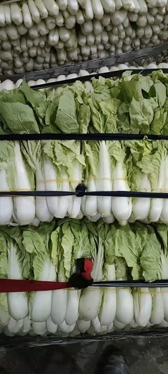 廈令贏蔬菜配送 福田區梅林工廠的優質蔬菜供應商