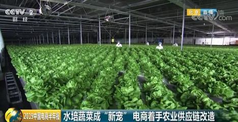 618購物節揭示消費新趨勢 90后轉向假發，00后擁抱抗衰老與蔬菜